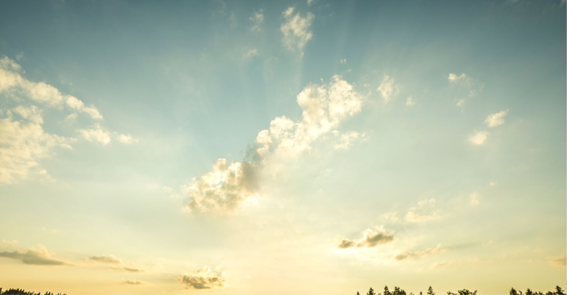 Heart Knocks LEAP Heart Knocks LEAP