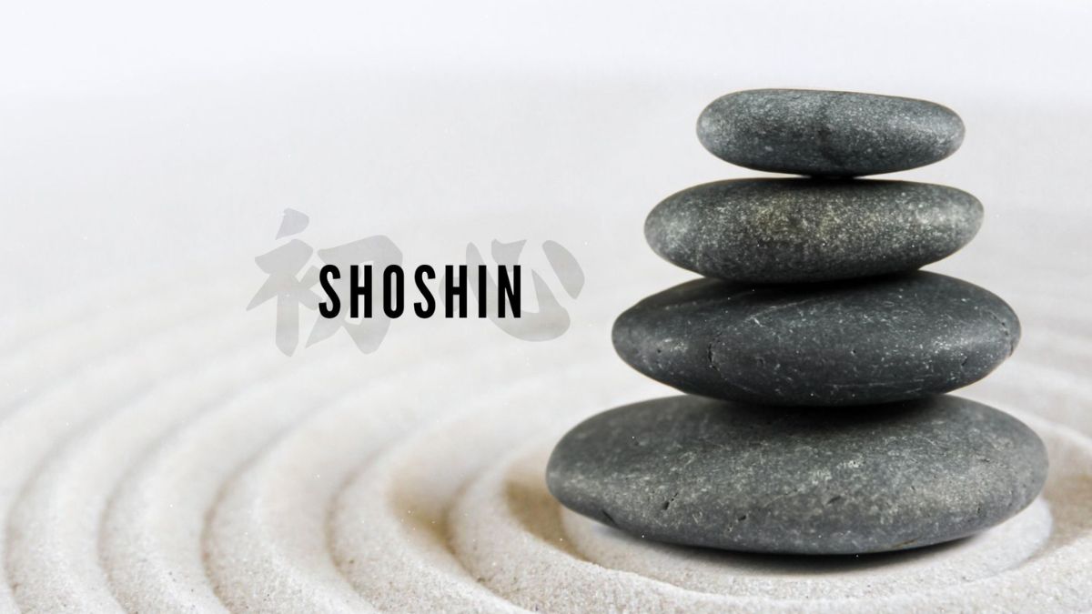 Heart Knocks Shoshin